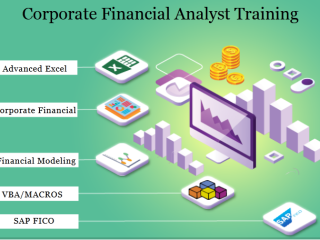 how-an-financial-analyst-course-can-help-you-start-your-own-business-in-2025-100-job-financial-modelling-training-in-delhi-110059-by-sla