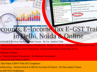 the-future-of-accounting-careers-job-prospects-skills-needed-in-2025-100-job-accounting-course-in-delhi-110048-by-sla-consultants-india