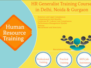 hr-generalist-course-hr-analytics-certification-in-delhi-110030-new-year-offer-2025-by-sla-consultants-india-100-job-guarantee