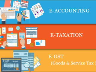 remote-work-global-opportunities-why-accounting-is-a-smart-choice-in-2025-get-best-accounting-certification-course-by-sla-consultants-india