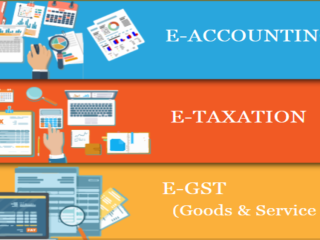 how-an-accounting-course-can-secure-your-job-in-the-evolving-2025-market-get-best-accounting-certification-training-in-delhi-110065-by-sla